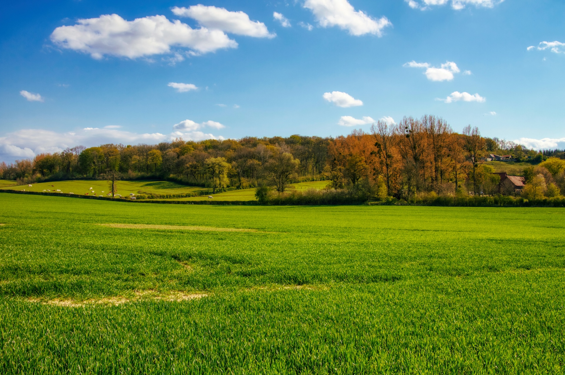 Clement Remond 8Kp8lz4ntxy Unsplash