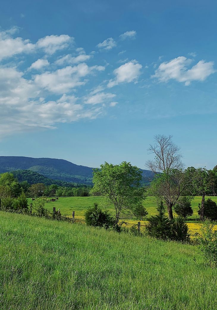 J G D Ksmrv6abxoo Unsplash